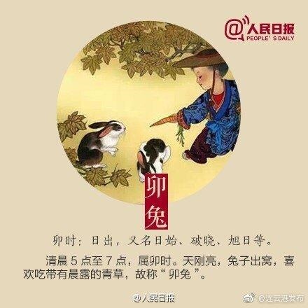 十二生肖排序表图排位，正版2022 生肖卡