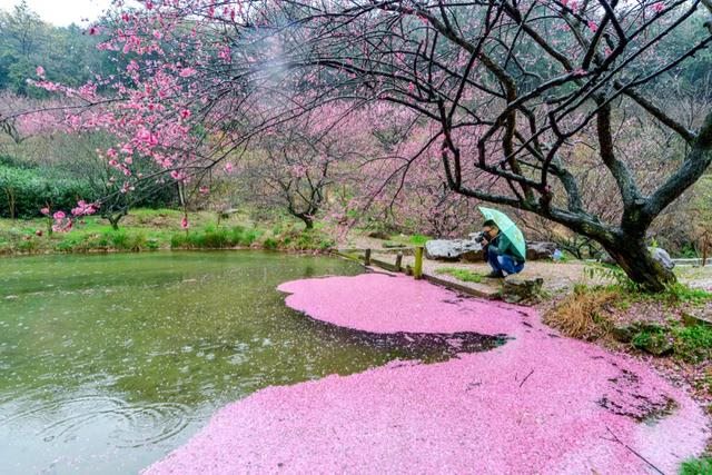 991年农历二月属羊女，1991年二月的羊好不好"