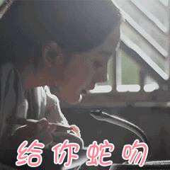 十二生肖天天运势下载什么,十二生肖今日运势