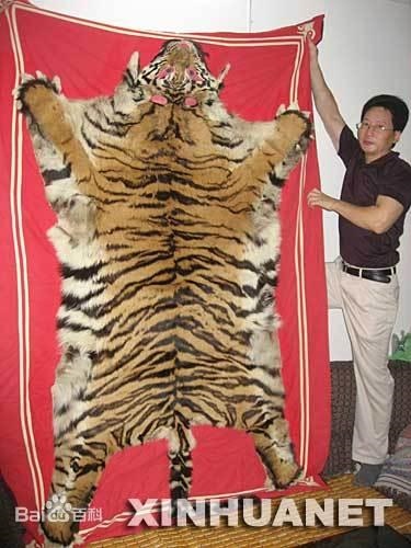 为什么虎年不要孩子，虎年生孩子为什么不吉利