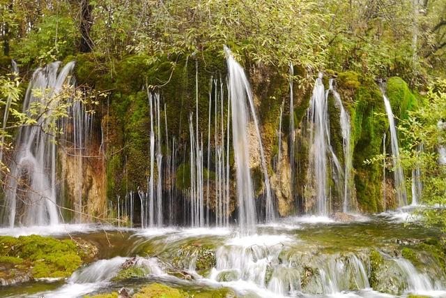 022年属鸡人的全年运势详解,属鸡一生要远离的属相"