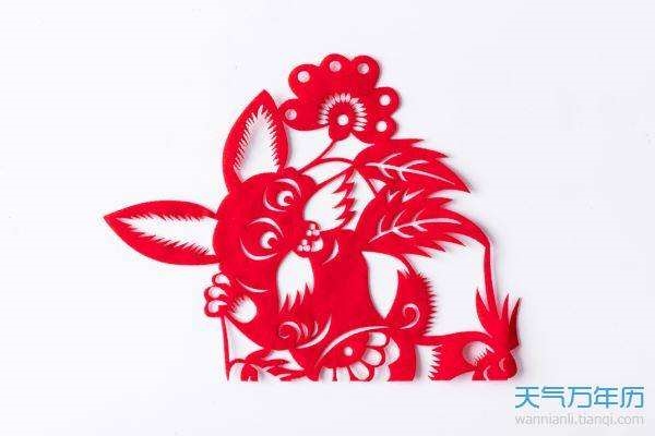 属兔的人和什么属相最配,属兔的人养什么花旺财