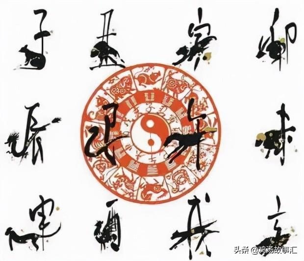 易经与十二生肖，易经十二生肖人生预测