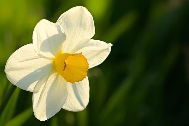 女人有一痣必嫁豪门，女人嫁得好的痣