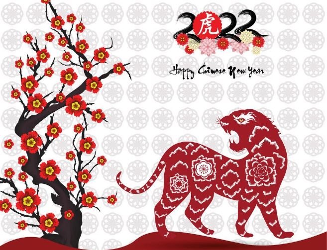 022年生虎备孕更佳时间表，2022年属虎的宝宝几月出生更好"