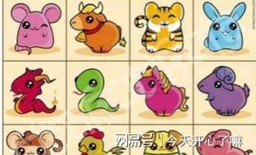 男属鼠女属羊八字合吗,91属羊的在明年鼠年生孩子