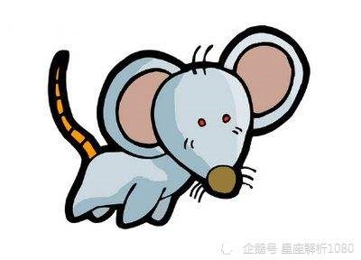 022年生肖鼠运程，2022
