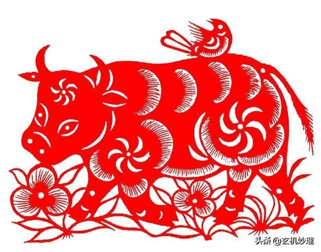 属羊每日运势更新，1967年属羊人2022 年运势