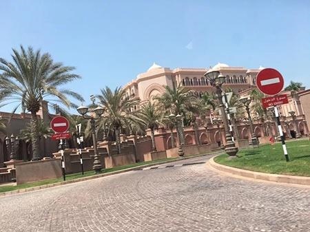 牛和猪的属相合不合财运，83年的猪和73年的牛合财吗