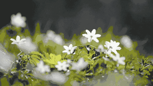 022年牛年日历表,2022年搬家吉日"