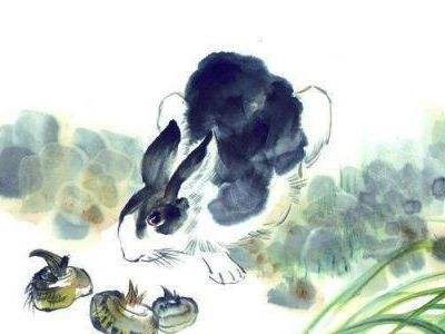 属兔人和属虎人合财吗,三个属牛的在一起做生意好吗