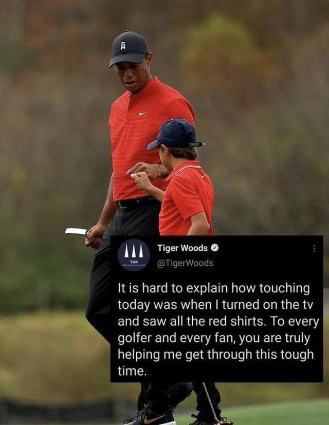 老虎今年多少岁，老虎是哪年出生的