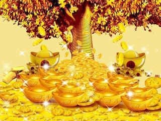 如何查看八字的偏财运，为什么没有偏财运