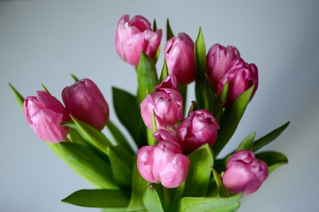 属兔注定的缘分是谁，生肖兔一生都克的生肖