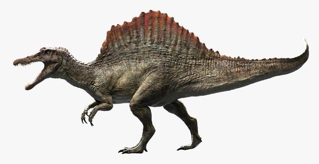 兔厉害还是龙厉害，男孩属兔好还是属龙好