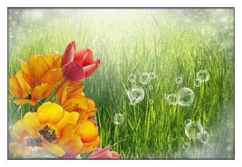 属马1978年44岁走大运，43岁有一劫属马78