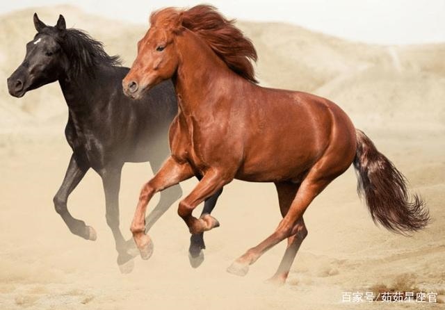 978年属马近三年运势,78属马人2022