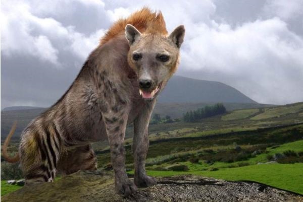 羊的下面和人的一样，人和羊配生什么感觉