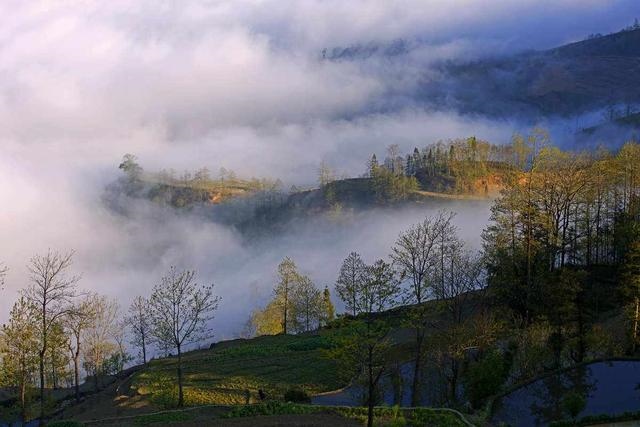 有羊刃的女人一定会离婚吗，羊刃男再婚还会克妻