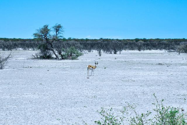 每日星座查询运势，星座运势查询每日更新