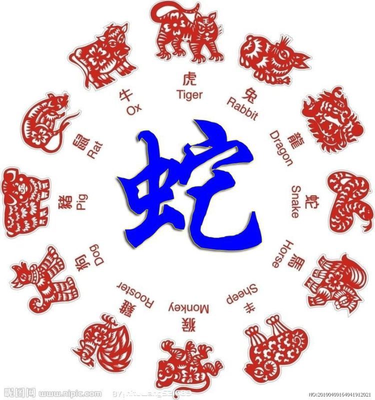 属蛇的2022年每月运势及运程，2022 年属猪运势及运程每月运程