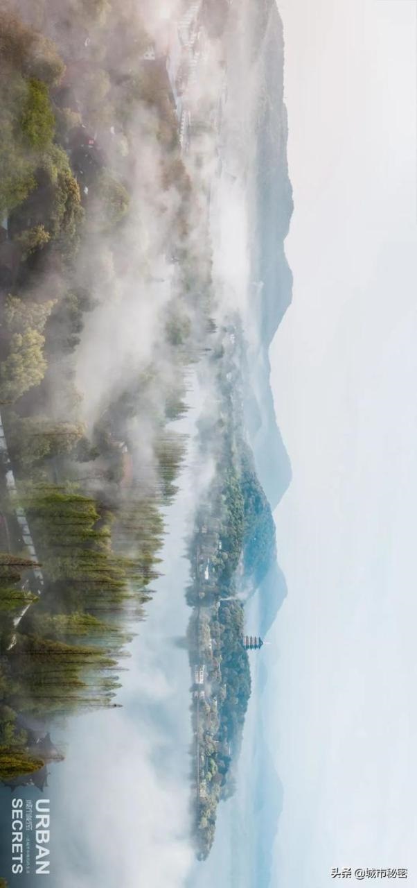 为什么绍兴人属羊的不要，属羊人2022 年每月运势