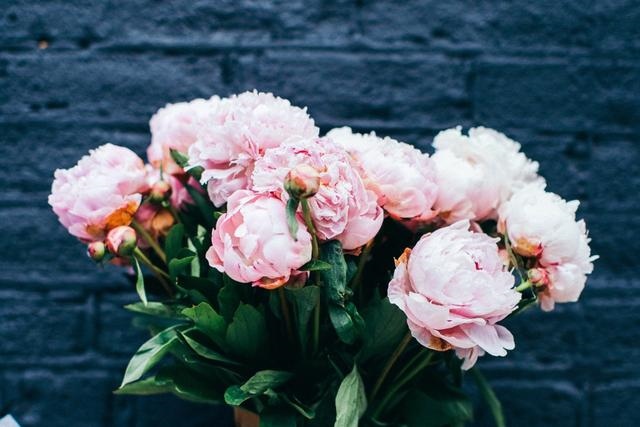 属兔注定的缘分是谁，生肖兔一生都克的生肖