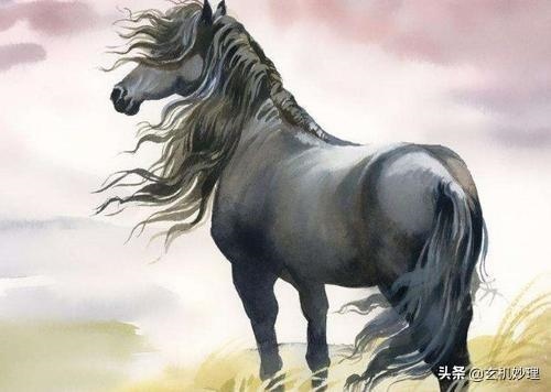 属马人转运年龄，属马适合哪个城市发展