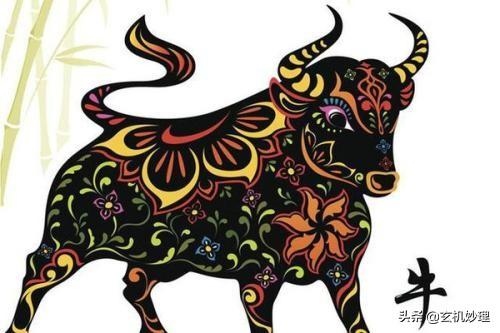 属马人转运年龄，属马适合哪个城市发展