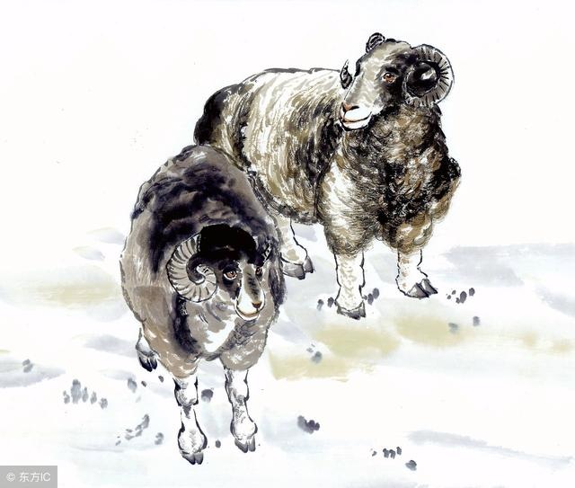 979年属羊人一生的劫难,1979年属羊一生大劫年"