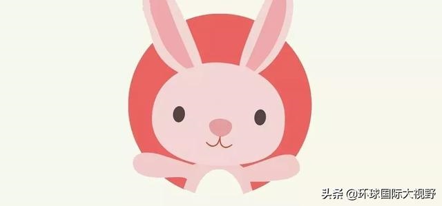 麦玲玲2022年运势及运程，2022 年12生肖运势解析