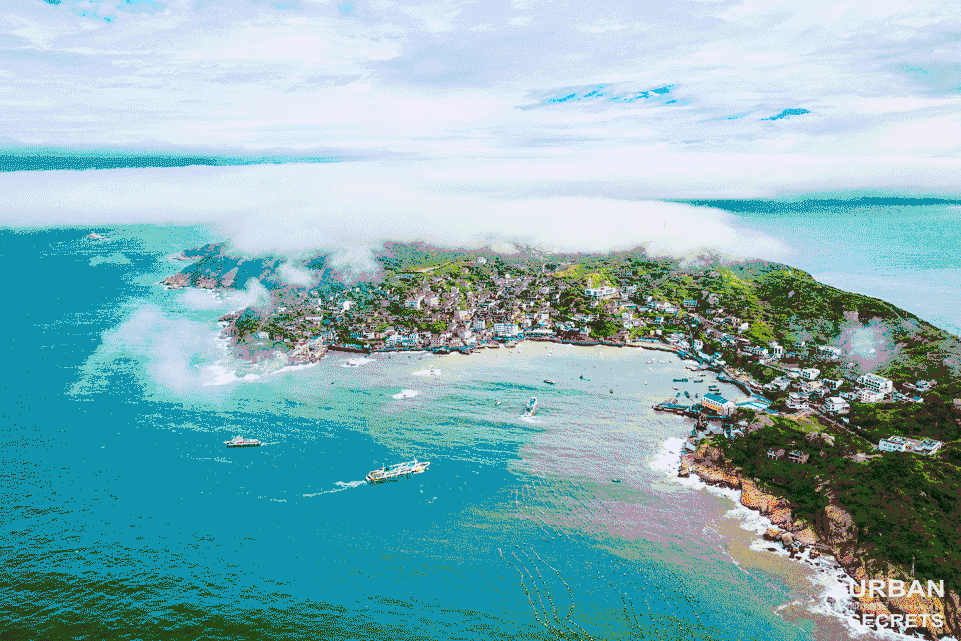 为什么绍兴人属羊的不要，属羊人2022 年每月运势