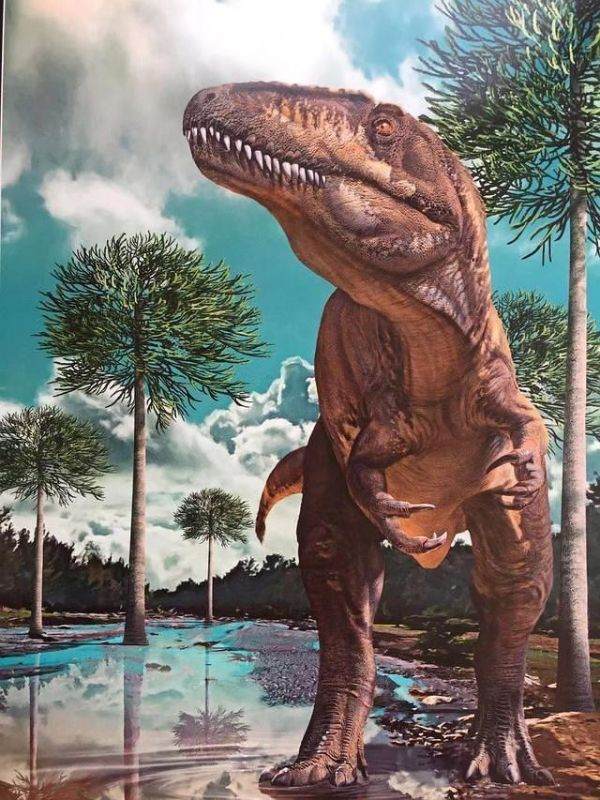 兔厉害还是龙厉害，男孩属兔好还是属龙好