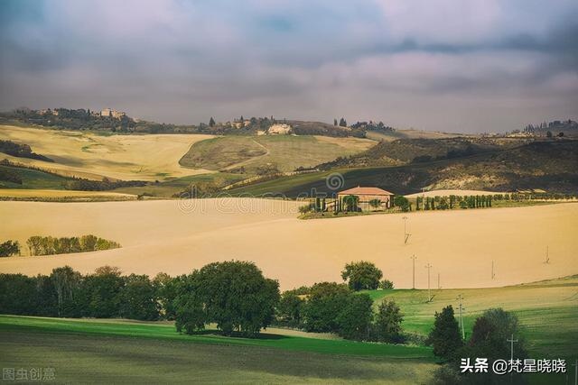 022年11月立冬后运势，属蛇未来5年运势走向"