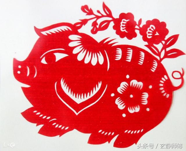 1属猪2022年有一灾，属猪的2022