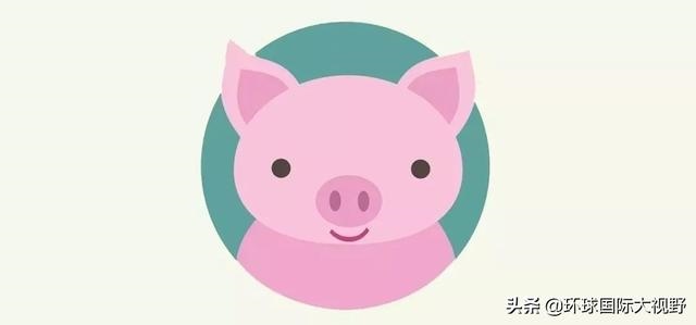 麦玲玲2022年运势及运程，2022 年12生肖运势解析