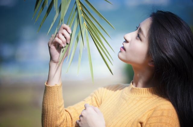 张鑫龙今日生肖运势查询吉时，属龙人今天打麻将财运