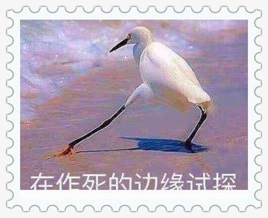 003年羊男好不好，2003属羊男一生大坎"