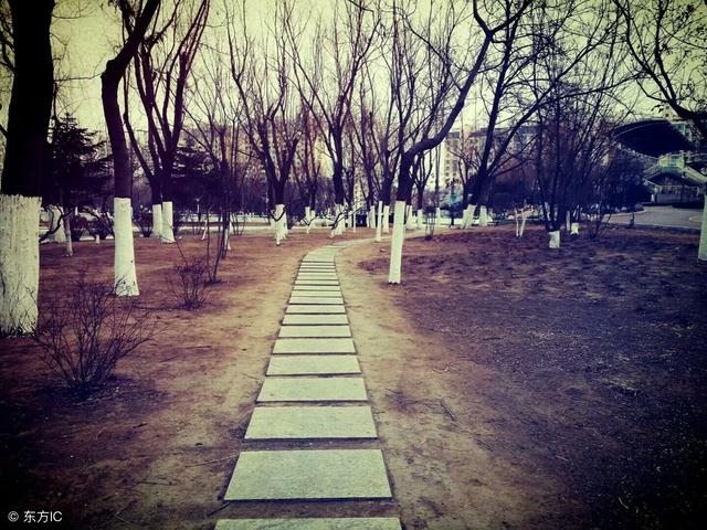 两个人的八字测婚期，测两人结婚吉日