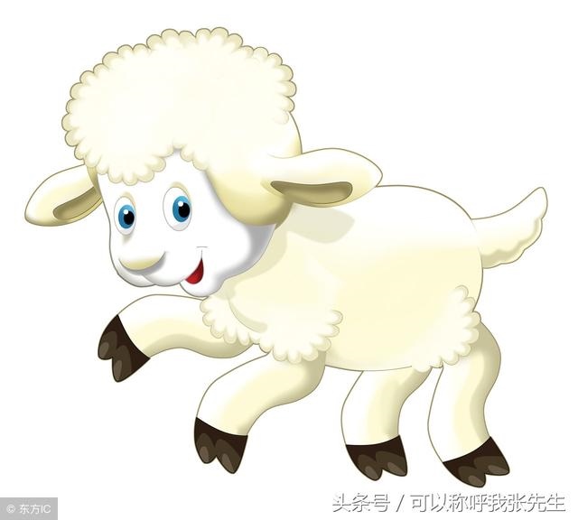 属羊的男人和什么属相的最合适，属羊和什么属相合