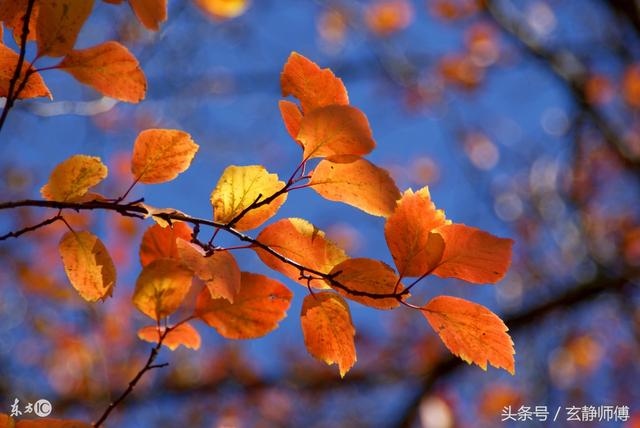 己土2022年壬寅年运势，2022壬寅易经预言