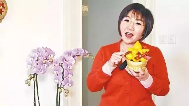 宋韶光2022年生肖马运程，宋韶光2022 年每月运势