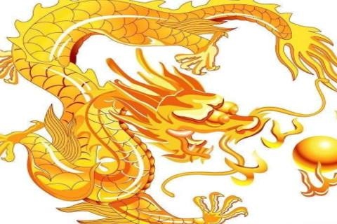 比属龙小八岁属啥,属龙出生时间与命运