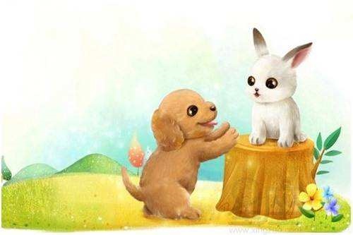 属狗今年多大年纪2022,兔子今年多大年纪