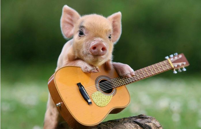 022年一月份每天属相，2022年结婚黄道吉日查询"