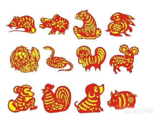 属猪和什么属相相克，95年属猪的属相婚配表