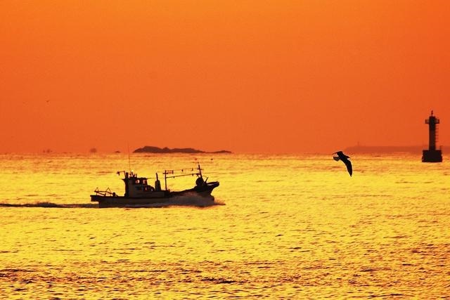 022年属鸡人的全年运势详解,属鸡一生要远离的属相"