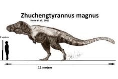 兔厉害还是龙厉害，男孩属兔好还是属龙好