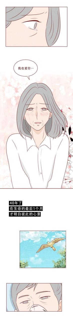 属虎和属猴的夫妻结局，几月猴和属虎的不相冲