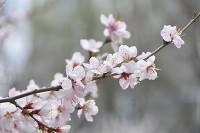 022壬寅年容易结婚的日柱,辛丑年正缘出现的日柱"